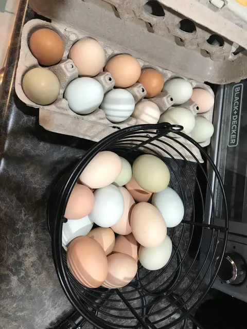 Zahner's Country Store