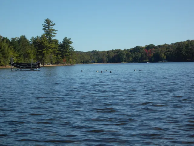 Clansman Motel & Cottages