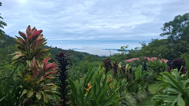 Aloha Chirripo Lodge