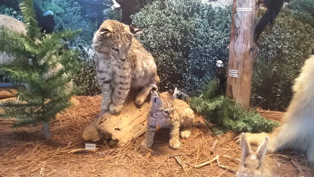 Nature Center & Gift shop