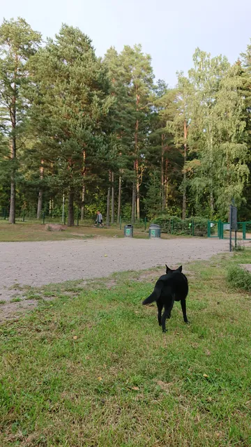 Yliskylän koirapuisto