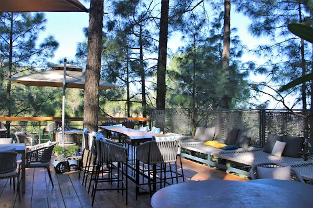 Brook & Pines Restaurant, Microbrewery & Grill