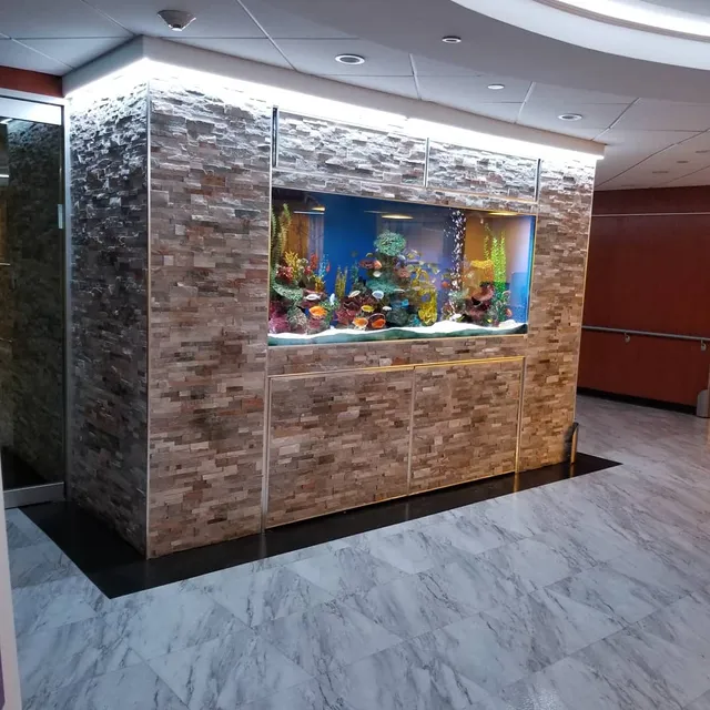 Kings Fish Tank & Maintenance