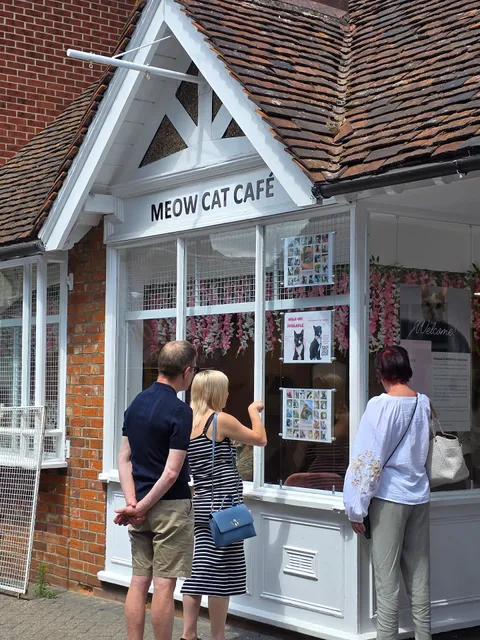 Meow Cat Café Essex