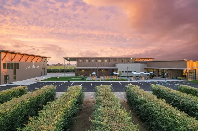 Calivirgin - Coldani Olive Ranch