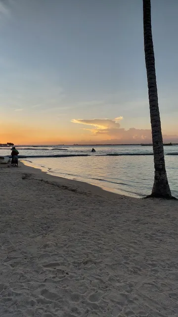 La Ensenada Playa Nueva Romana Palmera 10