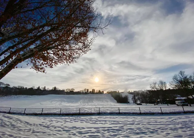 Cloverdale playground