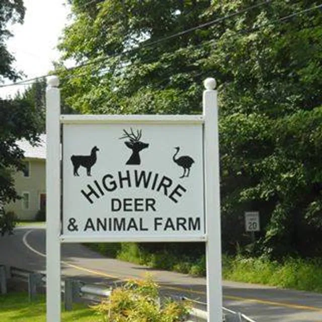 Highwire Deer & Animal Farm
