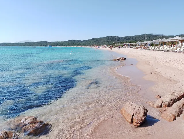 Spiaggia di Liscia Ruja noleggio lettini ed Ombrelloni.