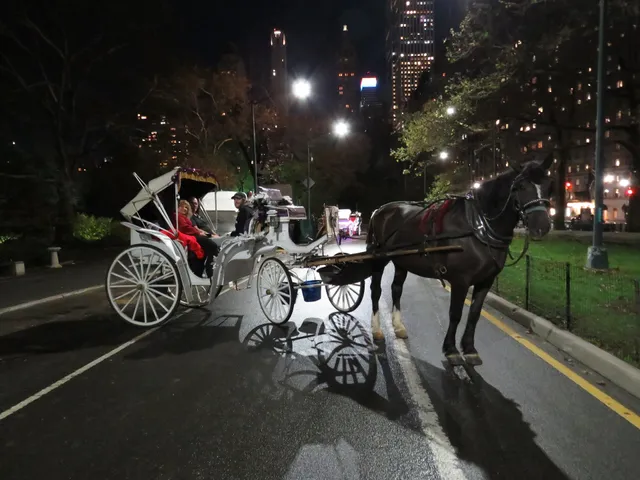 New York Carriage Co