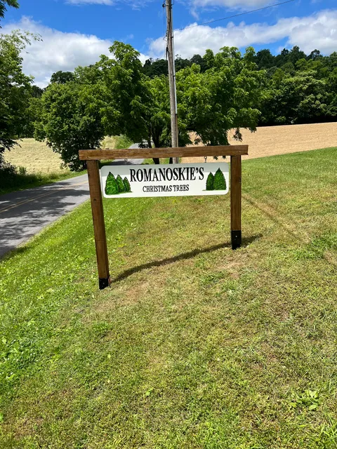 Romanoskie’s Christmas Trees
