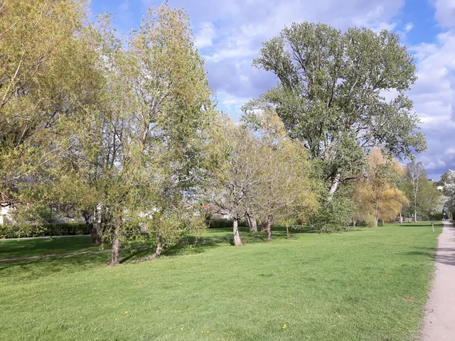 Vårflodsparkens plaskdamm