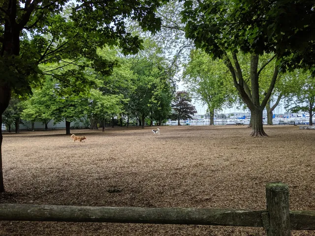Coronation Dog Park