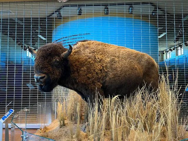 National Eagle Repository