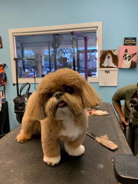 Commack Veterinary Center