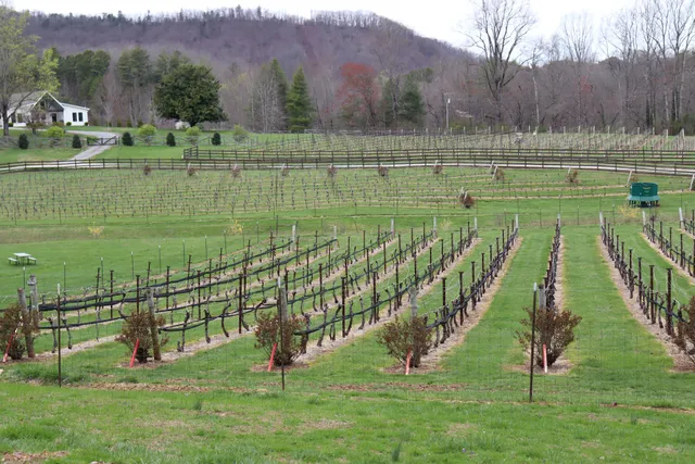 VIP Southern Tours & Georgia Wine Bus