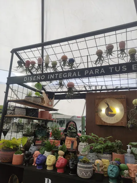 Restaurante Demetria