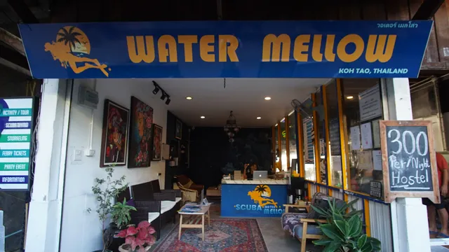 WaterMellow
