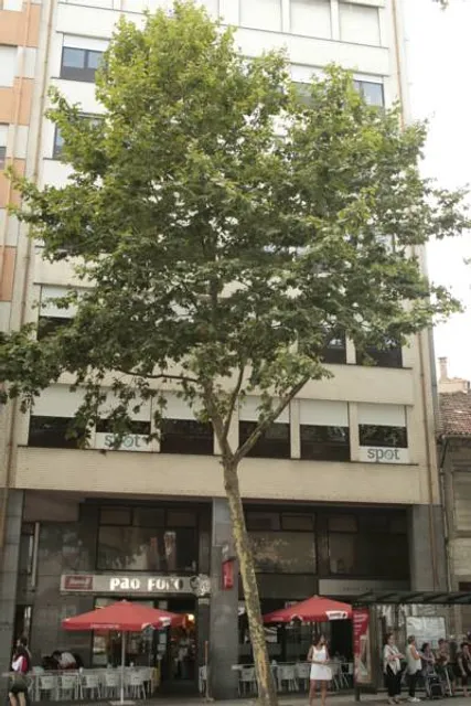 Spot Apartments Trindade