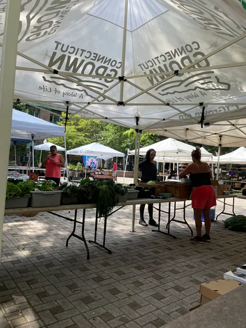 Downtown Farmer's Market