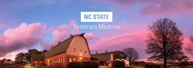 The NC State College of Veterinary Medicine