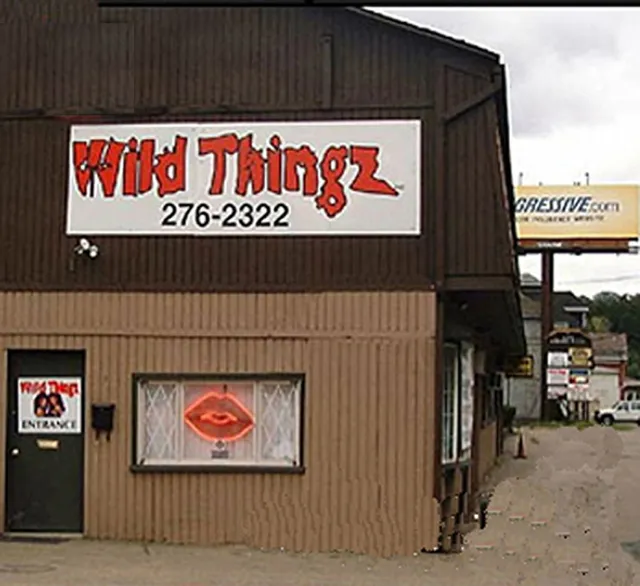 Wild Thingz Entertainment