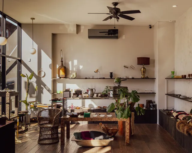 Again Vintage (home to SUBLIME Coffee & Plant Potions)