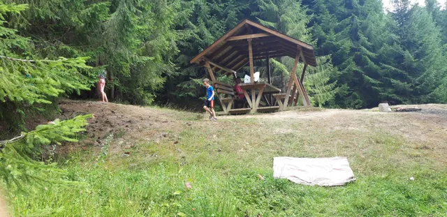 Zăvoaiele Borcutului