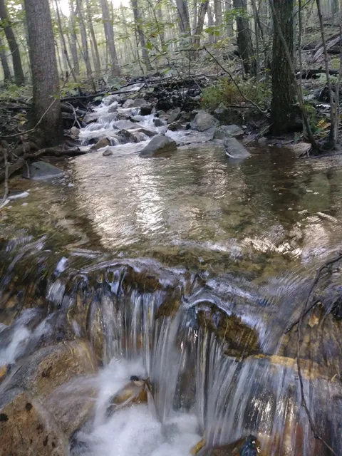 State Game Lands Number 261