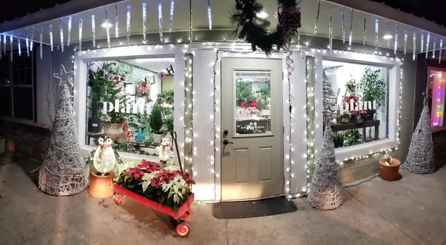 PLANT: A Lifestyle Florist & Events