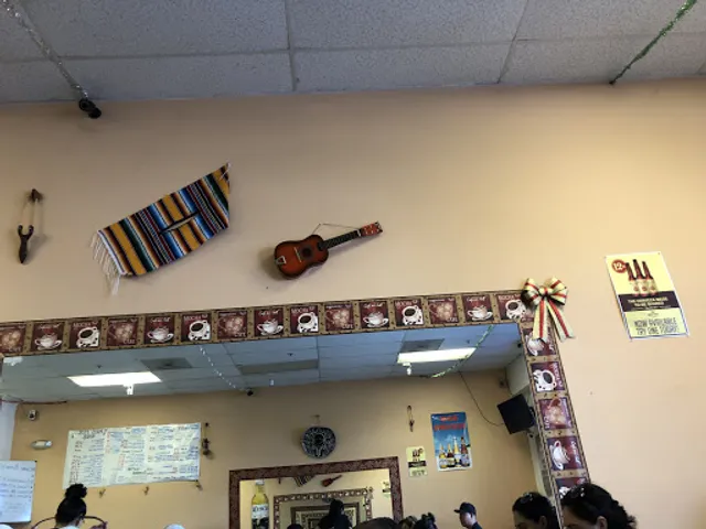 The Delights of Apatzingan