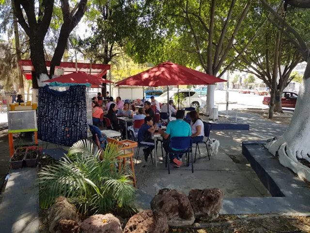 El Forastero Chivastian