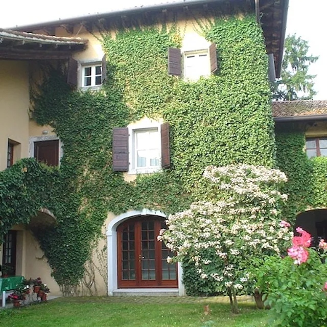 Casa Antica Mosaici Alloggio Agrituristico