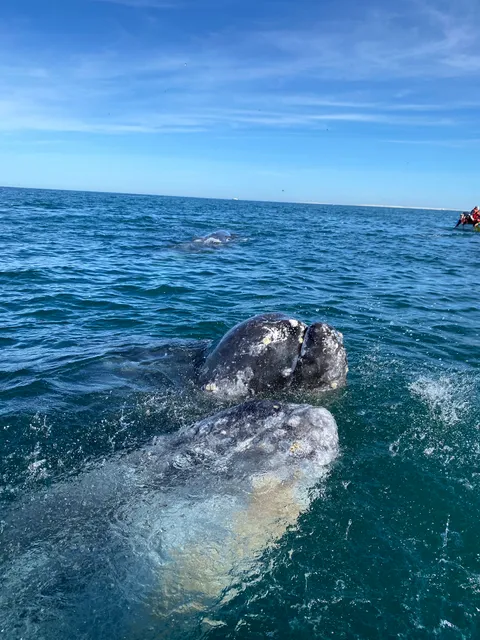 Municipio de Mulegé