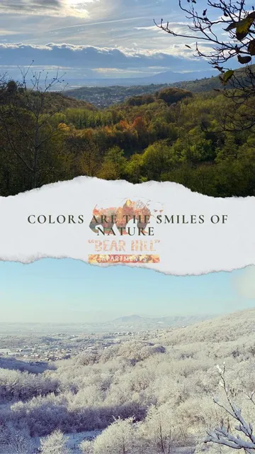 Bear Hill Apartments