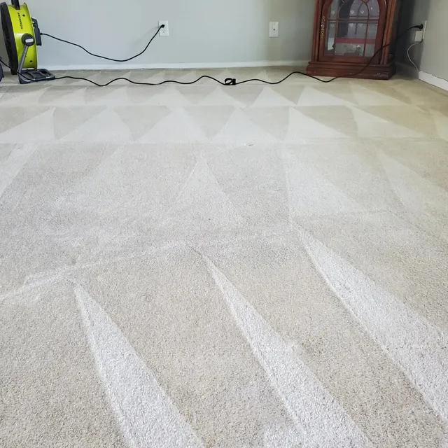 Magic Wand Carpet & Upholstery Cleaning USA