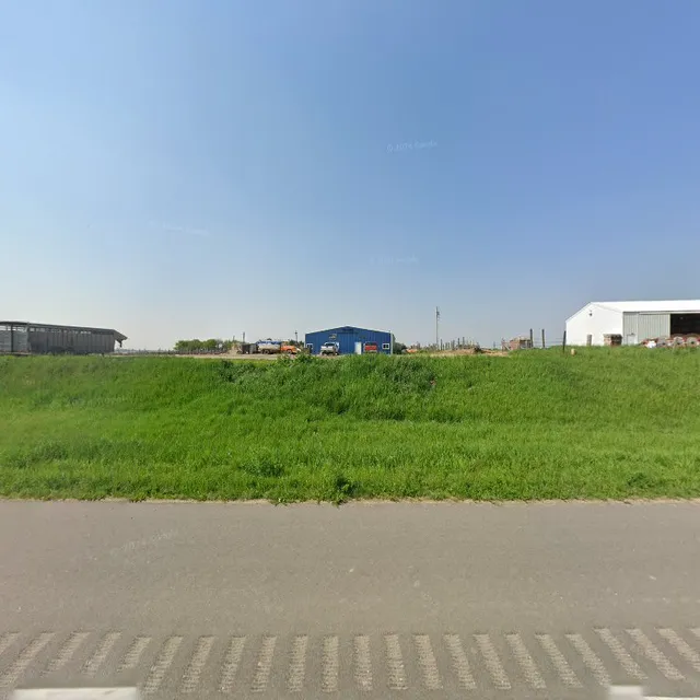 Sutton Livestock Auction