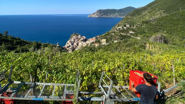 Eroico - vino da agricoltura eroica