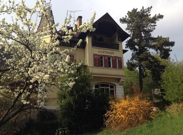 Hotel Schlosshof/Castello