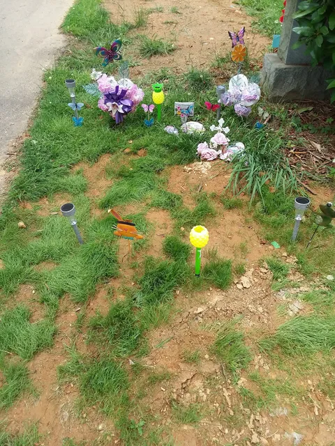 Roosevelt Playground