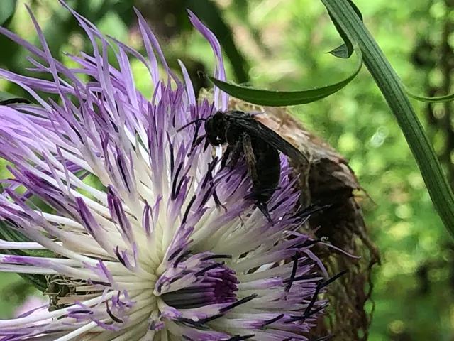 Don Greene Nature Park