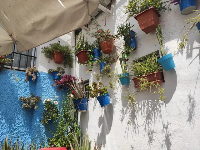 Sociedad Cultural Deportiva Marina