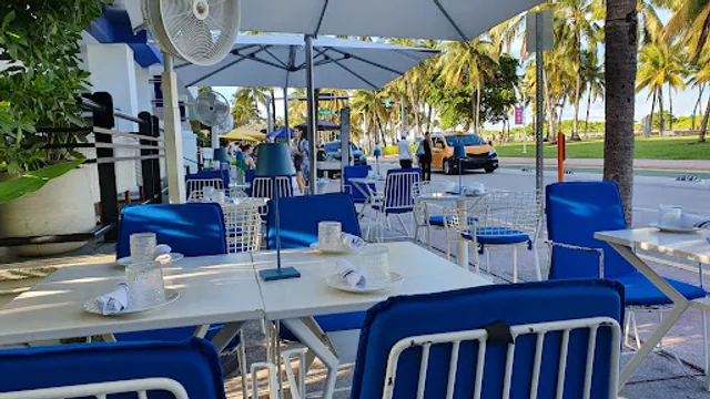 Meet Dalia - Mediterranean restaurant in Miami Beach