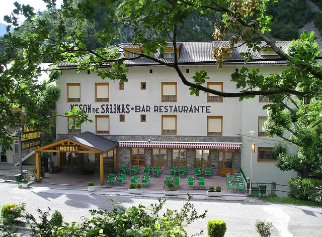 Hotel Mesón de Salinas