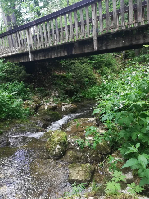 Gîtes du Bief de la Chaille