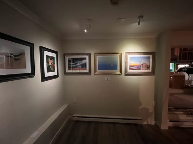 The Covert Collection Gallery