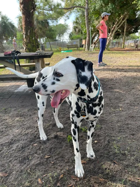 Satellite Beach Dog Park