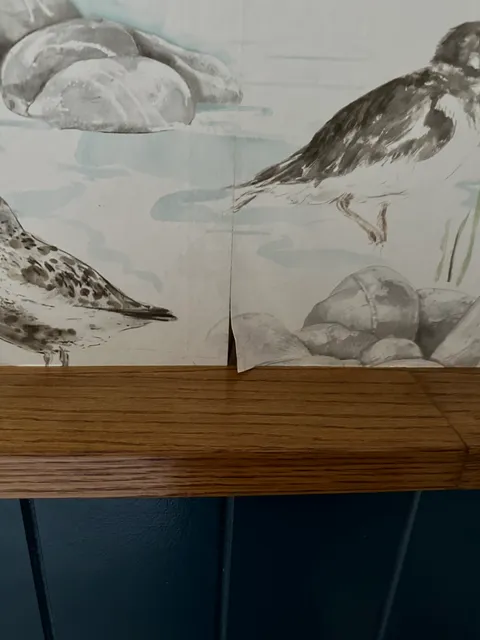 photo-1