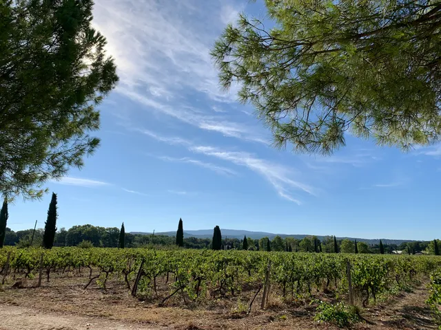 Domaine La Camarette