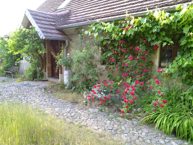 Ferienwohnung im Schlaubetal - Die Gute Stube auf Jürjenshof